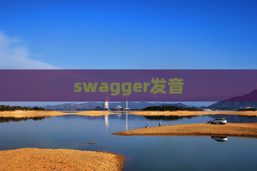 swagger发音